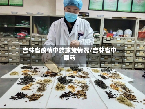 吉林省疫情中药政策情况/吉林省中草药-第2张图片