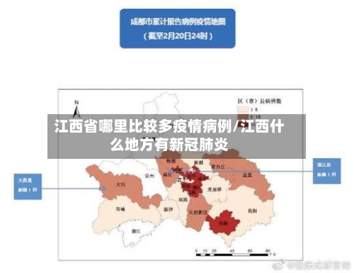江西省哪里比较多疫情病例/江西什么地方有新冠肺炎-第3张图片