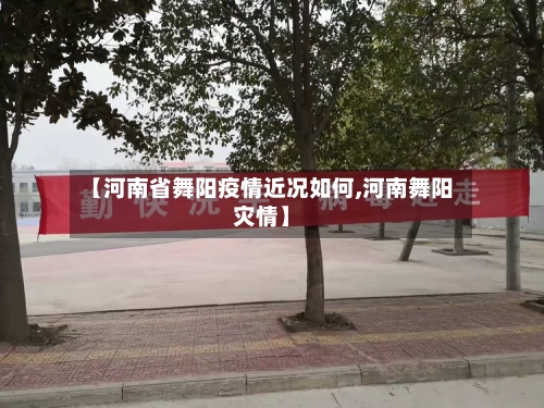 【河南省舞阳疫情近况如何,河南舞阳灾情】-第2张图片