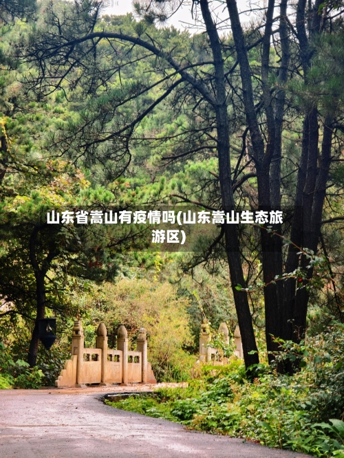 山东省嵩山有疫情吗(山东嵩山生态旅游区)-第2张图片