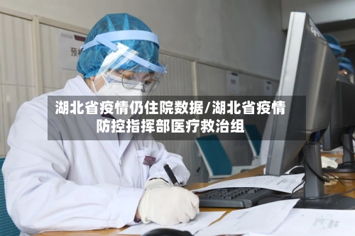 湖北省疫情仍住院数据/湖北省疫情防控指挥部医疗救治组-第2张图片