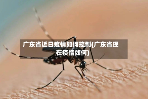 广东省近日疫情如何控制(广东省现在疫情如何)-第2张图片