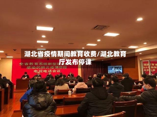 湖北省疫情期间教育收费/湖北教育厅发布停课-第1张图片