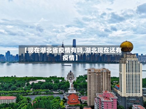 【现在湖北省疫情有吗,湖北现在还有疫情】-第2张图片