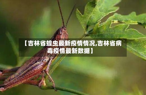 【吉林省蝗虫最新疫情情况,吉林省病毒疫情最新数据】-第1张图片