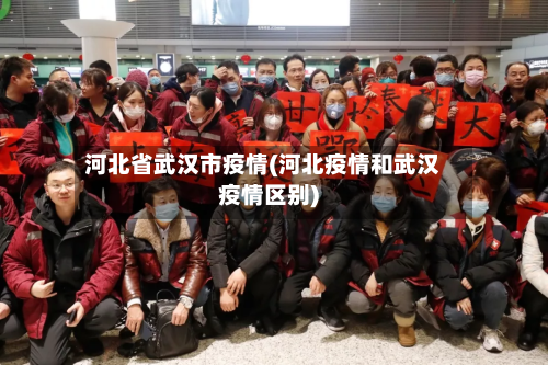 河北省武汉市疫情(河北疫情和武汉疫情区别)-第3张图片