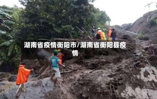 湖南省疫情衡阳市/湖南省衡阳县疫情-第1张图片