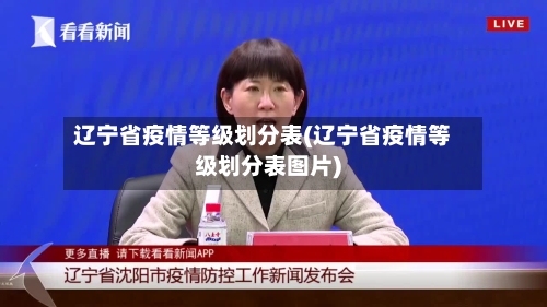 辽宁省疫情等级划分表(辽宁省疫情等级划分表图片)-第2张图片