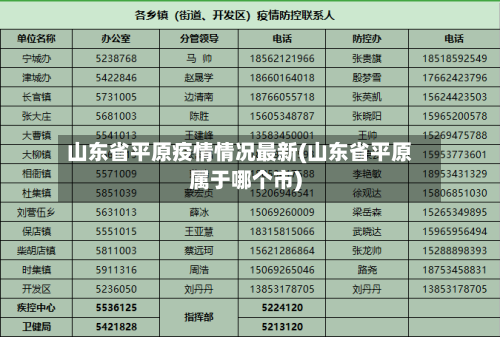 山东省平原疫情情况最新(山东省平原属于哪个市)-第3张图片