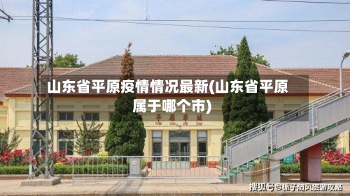 山东省平原疫情情况最新(山东省平原属于哪个市)-第2张图片