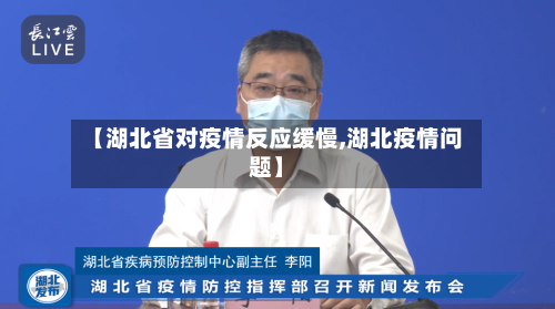 【湖北省对疫情反应缓慢,湖北疫情问题】-第3张图片