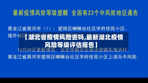 【湖北省疫情风险去吗,最新湖北疫情风险等级评估报告】-第1张图片