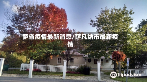 萨省疫情最新消息/萨凡纳市最新疫情-第2张图片