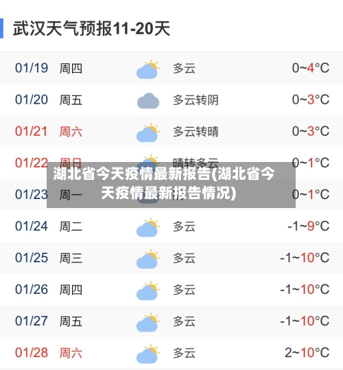 湖北省今天疫情最新报告(湖北省今天疫情最新报告情况)-第3张图片