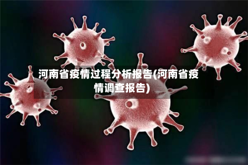 河南省疫情过程分析报告(河南省疫情调查报告)-第1张图片