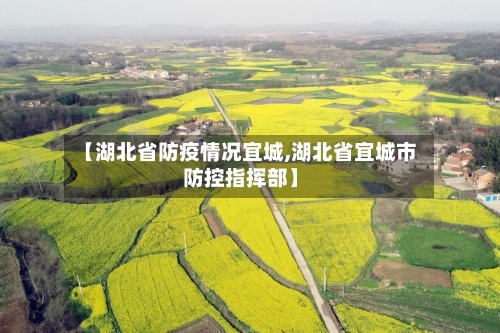 【湖北省防疫情况宜城,湖北省宜城市防控指挥部】-第3张图片