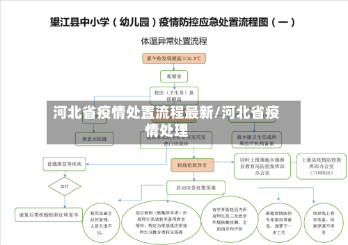 河北省疫情处置流程最新/河北省疫情处理-第1张图片