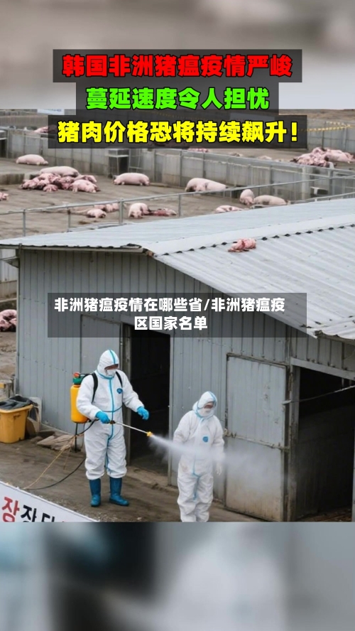 非洲猪瘟疫情在哪些省/非洲猪瘟疫区国家名单-第1张图片
