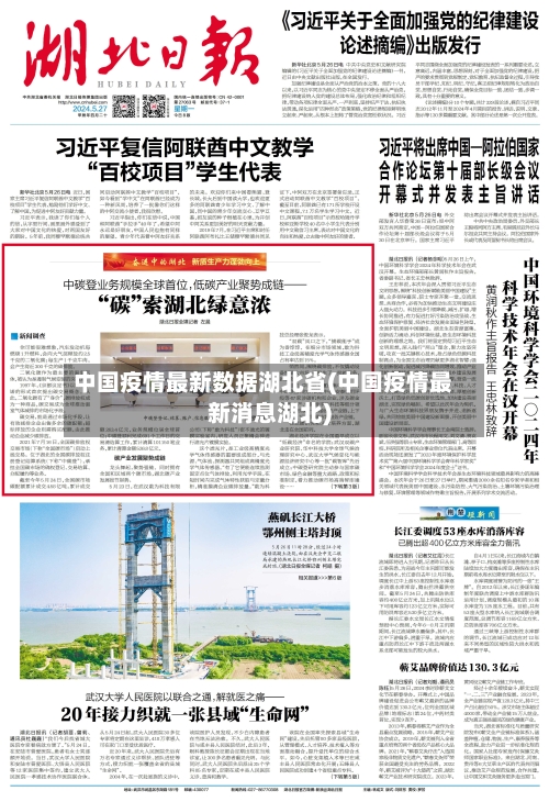 中国疫情最新数据湖北省(中国疫情最新消息湖北)-第1张图片