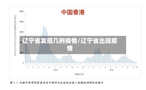 辽宁省发现几例疫情/辽宁省出现疫情-第1张图片