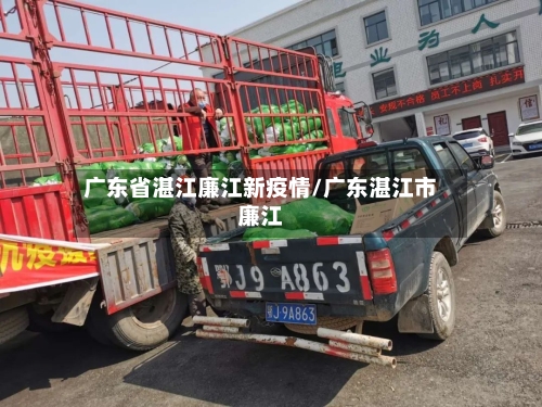 广东省湛江廉江新疫情/广东湛江市廉江-第1张图片
