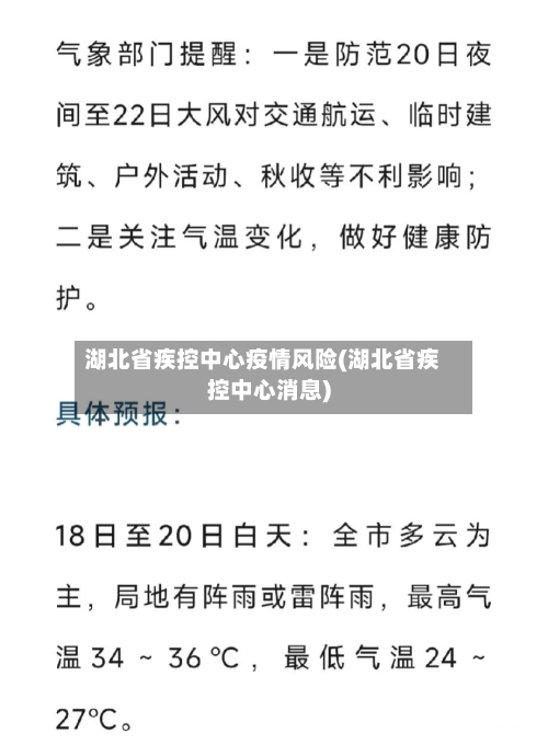 湖北省疾控中心疫情风险(湖北省疾控中心消息)-第2张图片