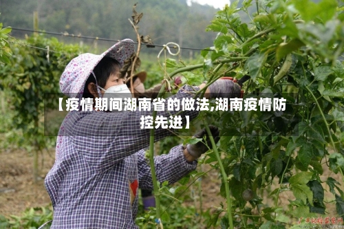 【疫情期间湖南省的做法,湖南疫情防控先进】-第1张图片