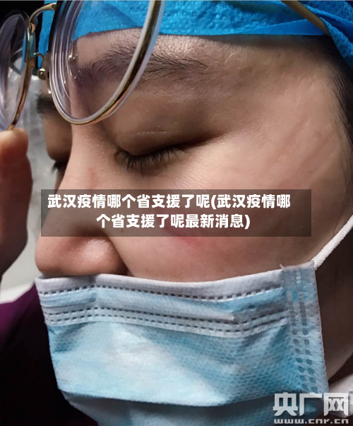 武汉疫情哪个省支援了呢(武汉疫情哪个省支援了呢最新消息)-第3张图片