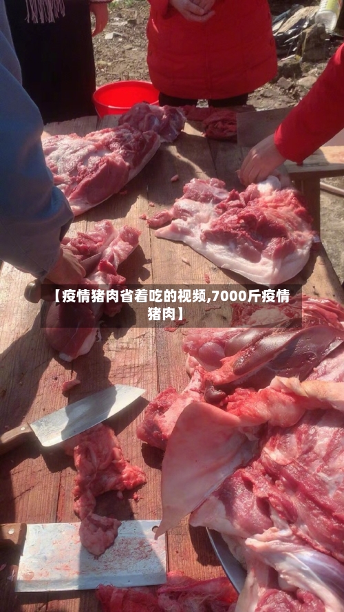 【疫情猪肉省着吃的视频,7000斤疫情猪肉】-第1张图片