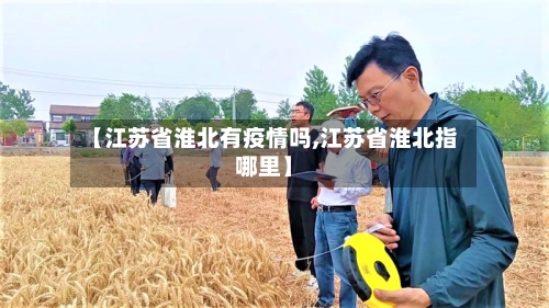 【江苏省淮北有疫情吗,江苏省淮北指哪里】-第3张图片