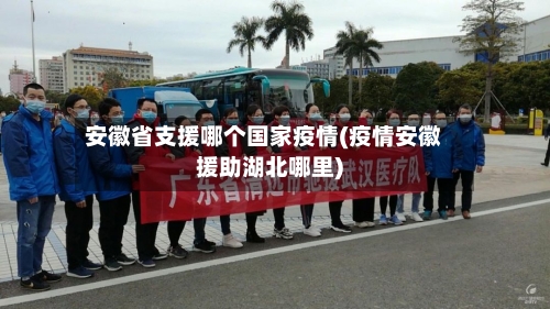 安徽省支援哪个国家疫情(疫情安徽援助湖北哪里)-第1张图片