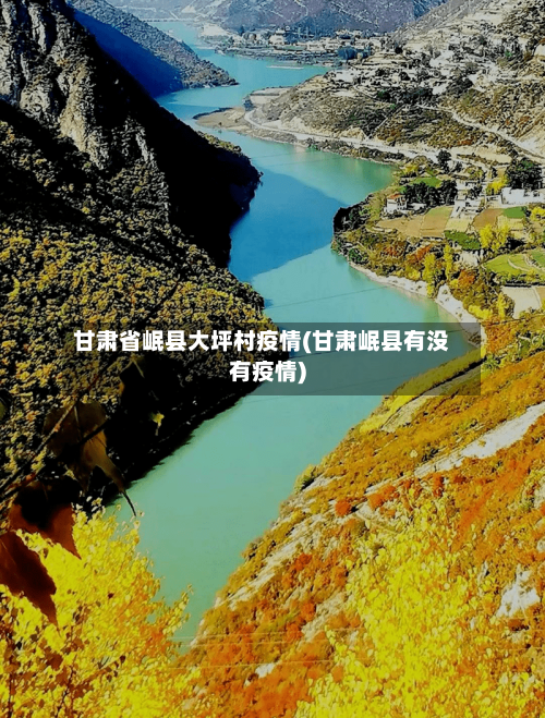 甘肃省岷县大坪村疫情(甘肃岷县有没有疫情)-第1张图片