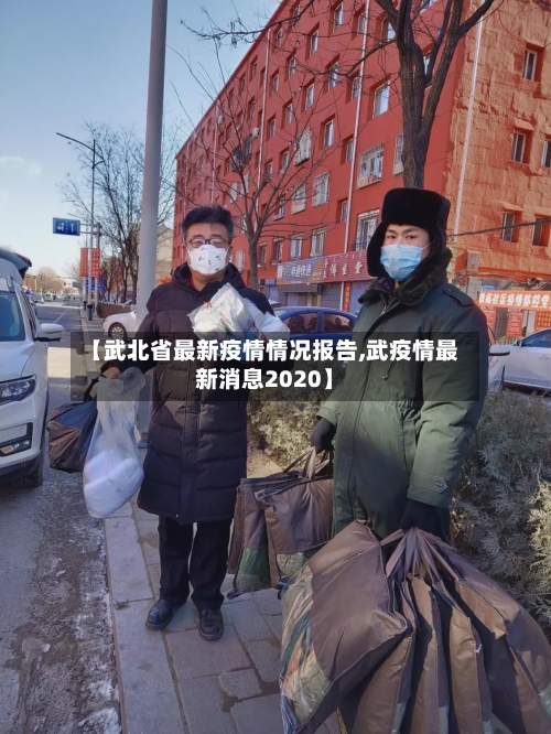 【武北省最新疫情情况报告,武疫情最新消息2020】-第3张图片
