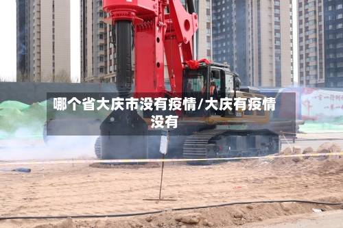 哪个省大庆市没有疫情/大庆有疫情没有-第1张图片