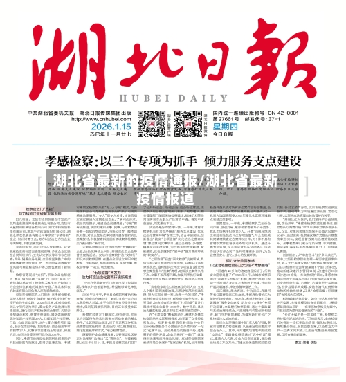 湖北省最新的疫情通报/湖北省最新疫情报道-第2张图片