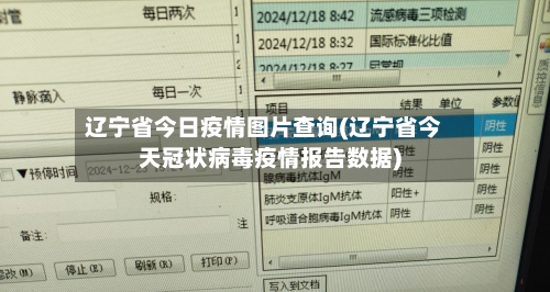 辽宁省今日疫情图片查询(辽宁省今天冠状病毒疫情报告数据)-第1张图片