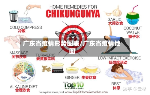 广东省疫情形势图表/广东省疫情地图-第2张图片