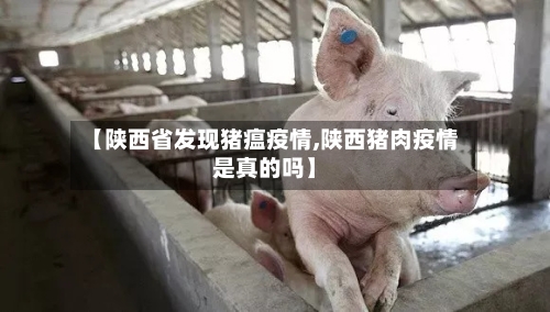 【陕西省发现猪瘟疫情,陕西猪肉疫情是真的吗】-第2张图片