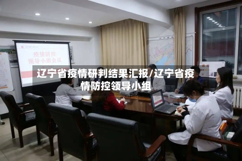 辽宁省疫情研判结果汇报/辽宁省疫情防控领导小组-第2张图片
