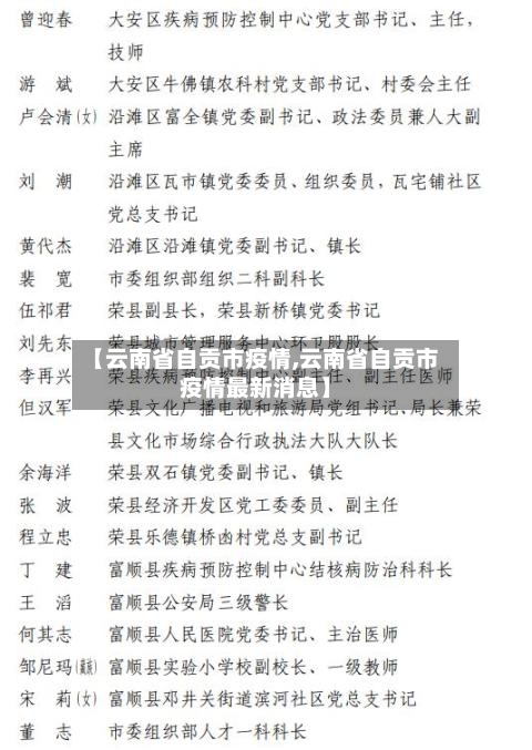【云南省自贡市疫情,云南省自贡市疫情最新消息】-第2张图片