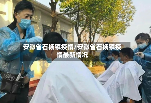 安徽省石杨镇疫情/安徽省石杨镇疫情最新情况-第3张图片