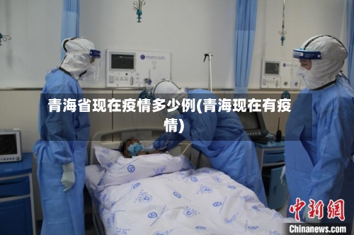 青海省现在疫情多少例(青海现在有疫情)-第1张图片