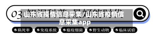 山东省疫情信息采集/山东省疫情信息采集app-第2张图片