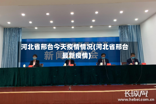 河北省邢台今天疫情情况(河北省邢台最新疫情)-第3张图片
