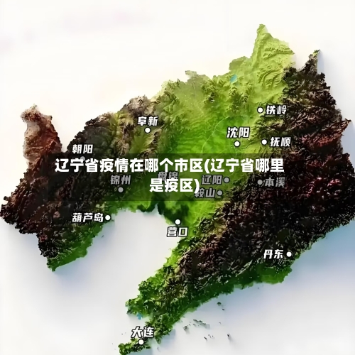 辽宁省疫情在哪个市区(辽宁省哪里是疫区)-第3张图片