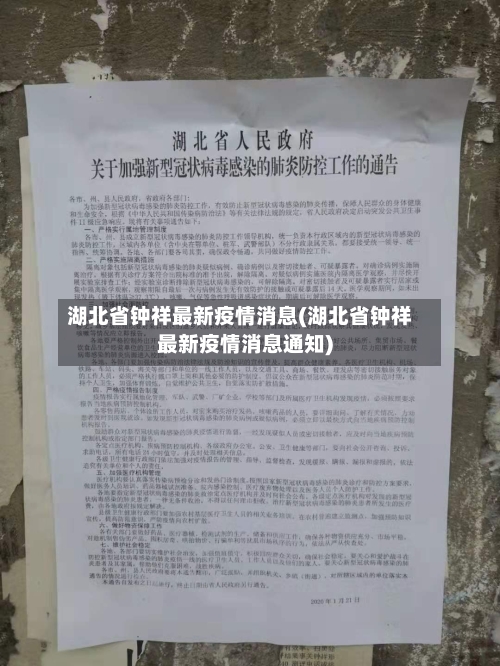 湖北省钟祥最新疫情消息(湖北省钟祥最新疫情消息通知)-第3张图片