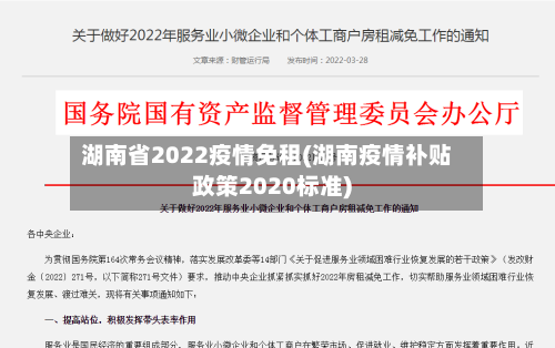 湖南省2022疫情免租(湖南疫情补贴政策2020标准)-第1张图片