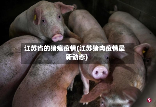 江苏省的猪瘟疫情(江苏猪肉疫情最新动态)-第1张图片