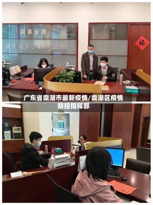 广东省鼎湖市最新疫情/鼎湖区疫情防控指挥部-第1张图片