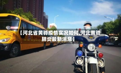 【河北省黄骅疫情实况如何,河北黄骅肺炎最新消息】-第3张图片